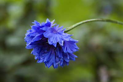 CasaMiaBeacon_020807_060.jpg
