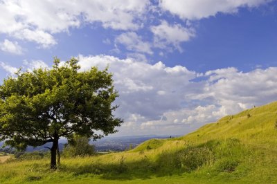 CasaMiaBeacon_020807_043.jpg