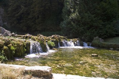 _MG_0283.jpg