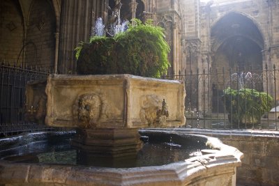 _MG_2745.jpg