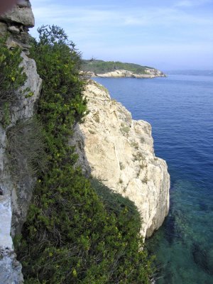 IMG_0328.jpg