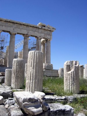 3545.jpg