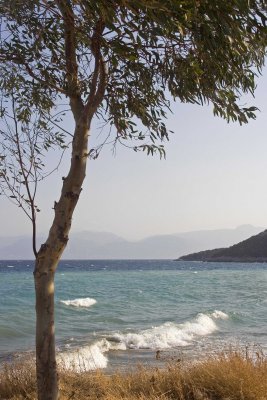 hellas2006-0142.jpg
