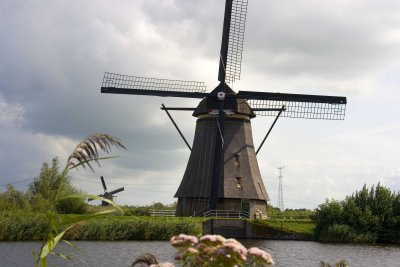 _MG_9290.jpg