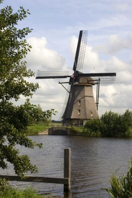 _MG_9300.jpg