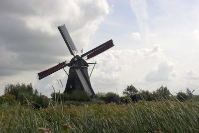 _MG_9305.jpg