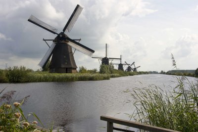 _MG_9317.jpg