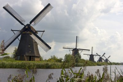_MG_9319.jpg