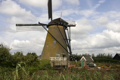 _MG_9341.jpg