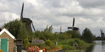 _MG_9343.jpg
