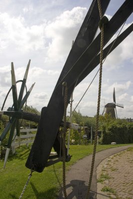 _MG_9350.jpg