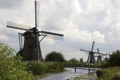 _MG_9357.jpg