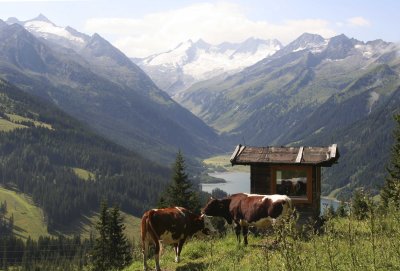 Knigsleiten (Oostenrijk) 2005