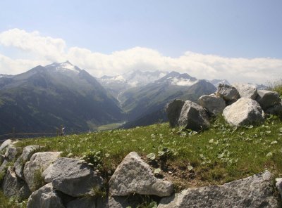 IMG_1545.jpg