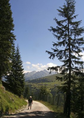 IMG_1584.jpg