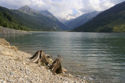 IMG_1617.jpg
