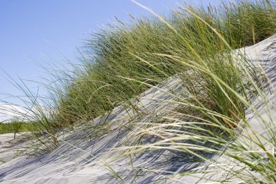 Friesland 2007