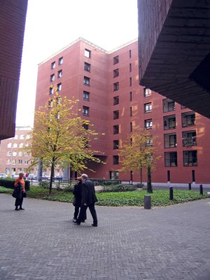 IMG_7109.jpg
