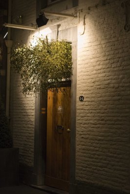 _MG_3587.jpg