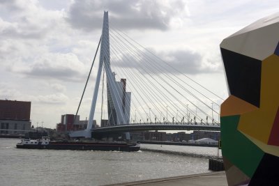 _MG_9578.jpg