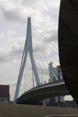_MG_9581.jpg