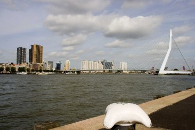 _MG_9597.jpg