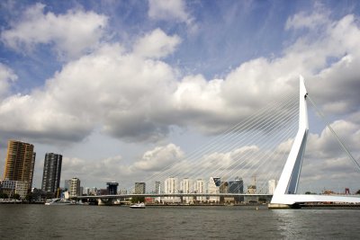 _MG_9611.jpg