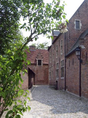 leuv6681.jpg