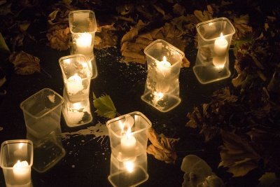 image221.jpg