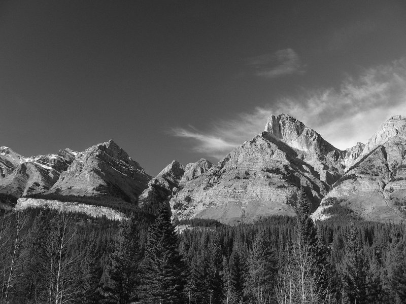 BW Mt.Cline.jpg