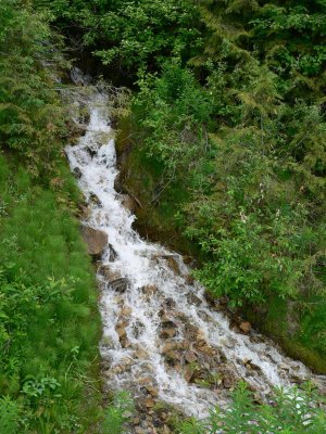 Mountain stream.jpg