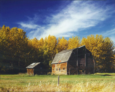 barn, near Grande Prairie