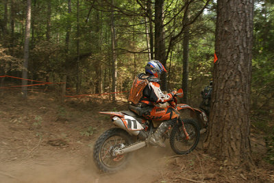 IMG_2909.jpg