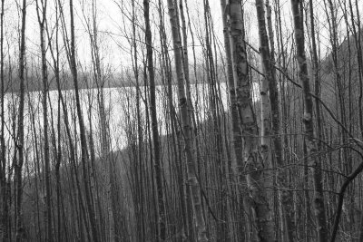 Turnagain_10Dec2006_ 026bw.jpg