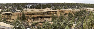 SpruceTreePanorama3.jpg