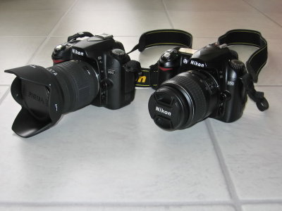 Nikon D80 - Sigma 17-70mm f/2.8-4.5 DC Macro    /\      Nikon D50 -  Nikkor 18-55mm f/3.5-5.6G ED II AF-S DX Zoom