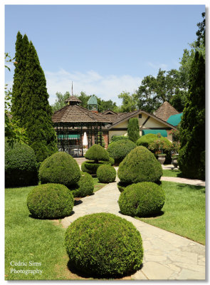  Wisteria Gardens