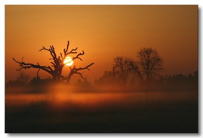 Elk Grove Sunrise