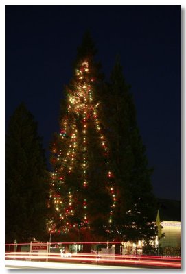 Old Town Elk Grove Christmas Tree