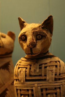 Cat mummy