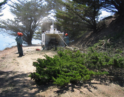 Tree-removal-5.jpg