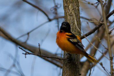 IMG_1045ProcessedWEB.jpg