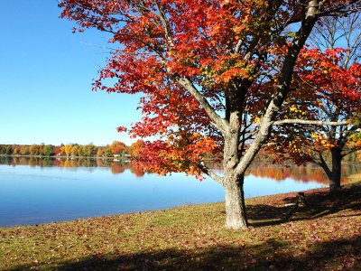DSC_1599a.jpg