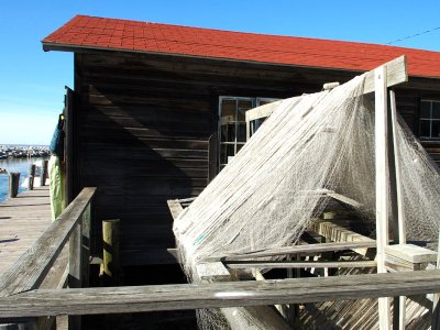 DSC_1655a.jpg