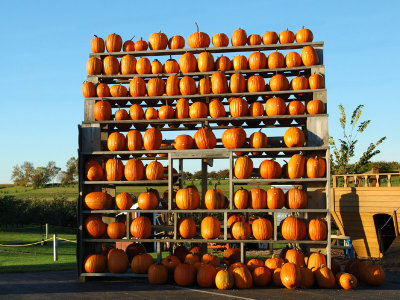 DSC_1685a.jpg