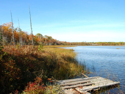 DSC_1697a.jpg
