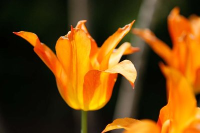 _MG_5079.jpg