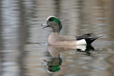 _MG_3018.jpg