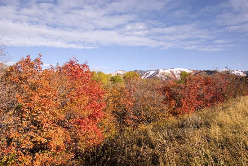 First Fall Snow (October 6, 2007)