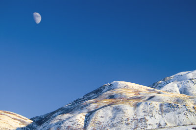 Winter Moonrise